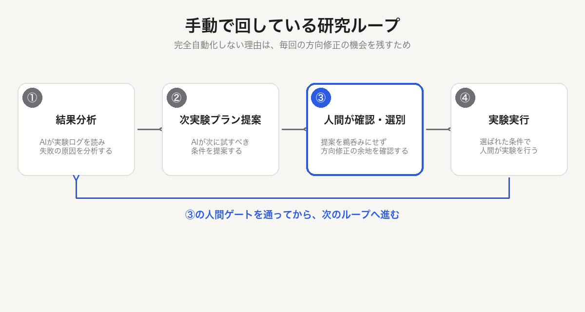 筆者が研究現場で回している研究ループの図。①AIによる結果分析、②次実験プラン提案、③人間が確認・選別（強調）、④実験実行、を経てまた①へ戻る。③の人間ゲートを通ってから次のループへ進むことを示している